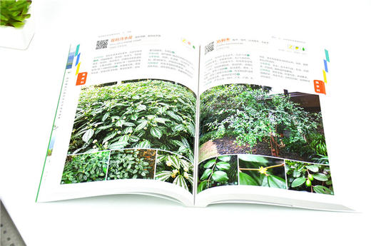 海南城市景观植物图鉴 9695 宋希强 雷金睿 产地分布 习性繁殖 园林用途 景观规划 园林植物设计 使用指南中国林业出版社 畅销书籍 商品图3