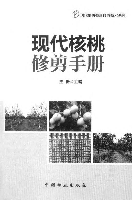 现代核桃修剪手册 中国林业出版社7920  科技 商品图1