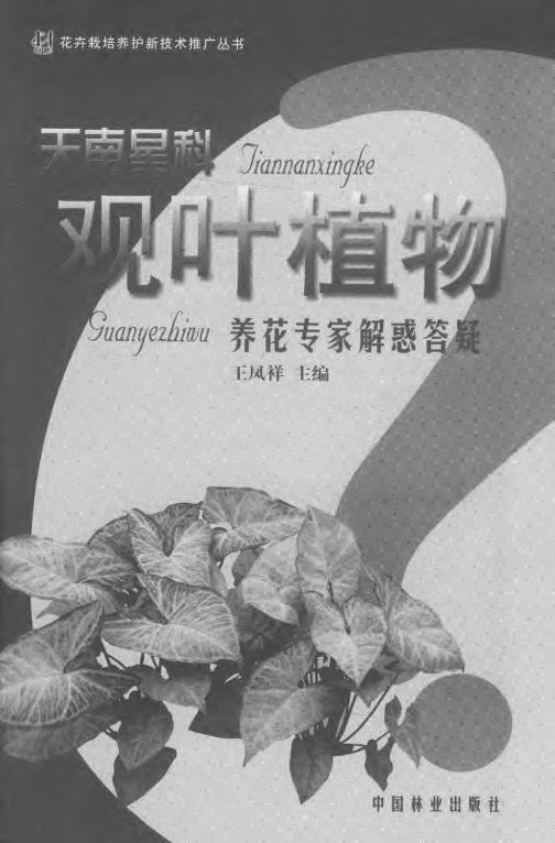 养花专家解惑答疑丛书 天南星科观叶植物 5470 花卉栽培养护技术 中国林业出版社 畅销书籍 商品图1