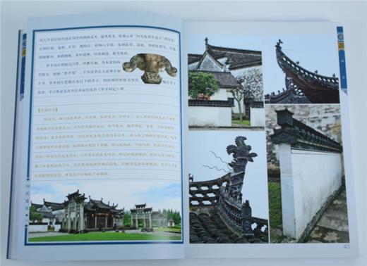 祠祀建筑 简装版 9226 唐艺文化 祠堂 庙 曲阜孔庙 周公庙 建筑设计赏析书 中国林业出版社 畅销书 商品图3