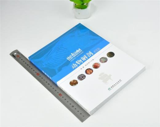 动物解剖 彩图版 9991 雍康 陈亚强 解剖运动被皮消化呼吸泌尿生殖心血管免疫神经感觉器官内分泌系统家禽 中国林业出版社畅销书籍 商品图1