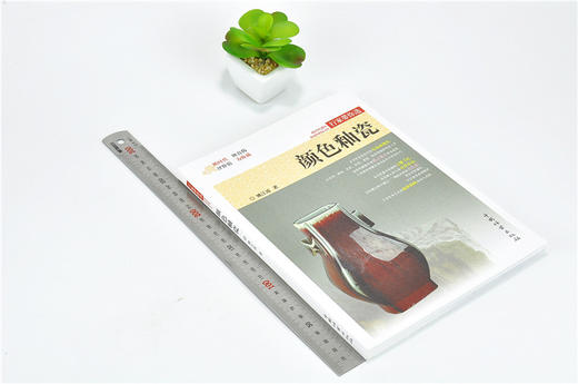 颜色釉瓷 行家带你选 9883 姚江波 断时代 辩真伪 评价值 为收藏 中国林业出版社 正版畅销书 商品图1