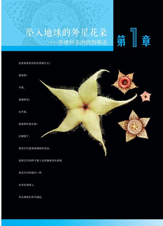 多肉植物之萝藦奇葩 赵达 签名版 第二次印刷  9376 栽培管理养花家庭园艺多浆植物观赏园艺盆栽种植学习 养花书籍 中国林业出版社 商品图2