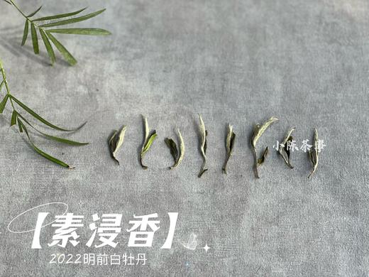 2022明前白牡丹《素浸香》，隐藏于清明白牡丹光环之下的璀璨明珠（100克） 商品图3
