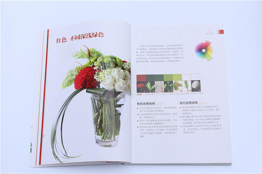 实用花艺色彩 万宏6982 鲜花花束花艺包装教程插花书籍教程入门基础自学花艺设计原理花束色彩搭配技巧色彩搭配原理与技巧色彩搭配 商品图3