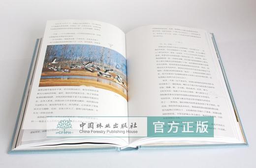 守望 江西林业局主编 0332 诗意鄱湖 与鸟同行 守护家园 湿地鸟类保护 鸟识别 中国林业出版社 商品图3