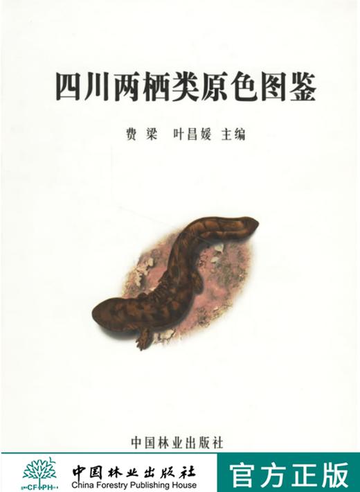 四川两栖类原色图鉴2642 费梁叶昌媛 主编中国林业出版社官方自营店 商品图0