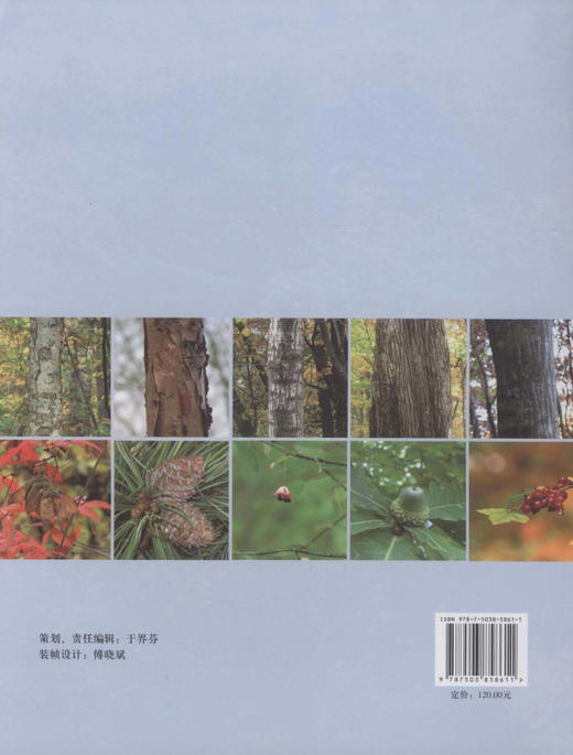 长白山温带森林-阔叶红松林及其次生杨桦林的物种组成与分布格局  中国林业出版社 商品图2