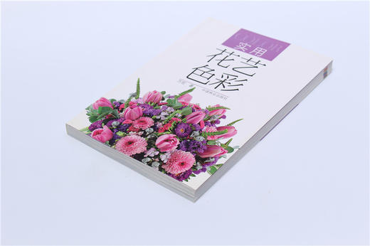 实用花艺色彩 万宏6982 鲜花花束花艺包装教程插花书籍教程入门基础自学花艺设计原理花束色彩搭配技巧色彩搭配原理与技巧色彩搭配 商品图2