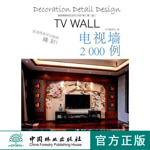 家装细部钻石法则2000例电视墙 8087背景墙室内设计中国林业出版社官方旗舰店正版畅销书 商品图0