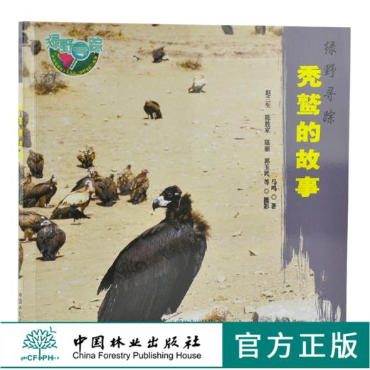 秃鹫的故事 绿野仙踪 0261 马鸣 著 鹫的起源 特点 行为 繁衍后代 迁徒 保护 少儿科普读物 中国林业出版社 畅销书 商品图0