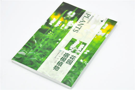 花园宿根植物 9808 常用宿根植物种类介绍 花卉培育栽培繁殖宿根与球根植物搭配病虫害防治 容器花园私家庭院花园花艺景观 畅销书 商品图2