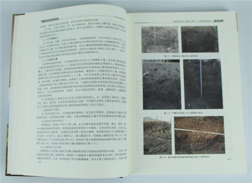上海园林绿化土壤 8880 土壤碳循环 土壤生物学特征 中国林业出版社 畅销书 商品图2