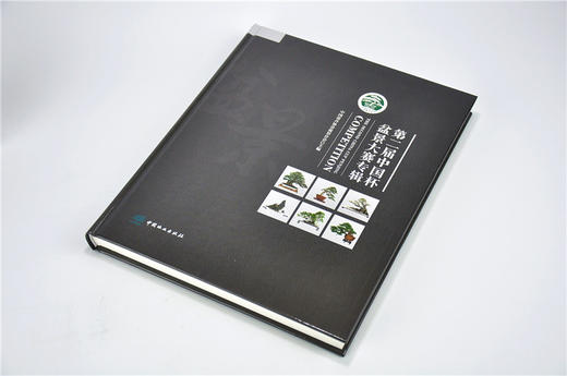 第二届中国杯盆景大赛专辑 8853 石景盆栽制作赏析中国林业出版社官方旗舰店正版畅销书 商品图2