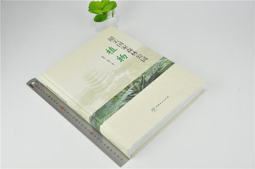 韶关国家森林公园植物 0150 黄章平 邱英华 主编 中国林业出版社 蕨类植物门 裸子植物门 被子植物门 中国林业出版社 商品图1