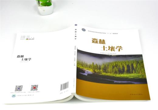 森林土壤学 0168 胡慧蓉 贝荣塔 王艳霞 国家林业和草原局普通高等教育十三五规划教材 中国林业出版社 商品图4