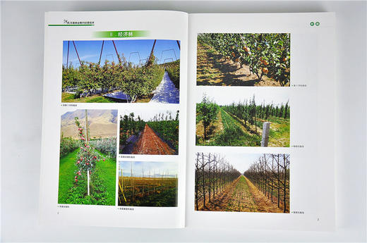 河北平原林业集约经营技术 毕君 9573 基层林业干部培训教材 中国林业出版社 畅销书 商品图3