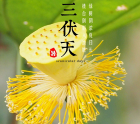 冬病夏治——三伏养生！