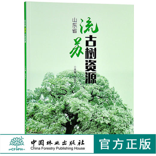 山东省流苏古树资源 李际红 9604 古树名木分级及健康评价 生物学特性分析 中国林业出版社 畅销书籍 商品图0