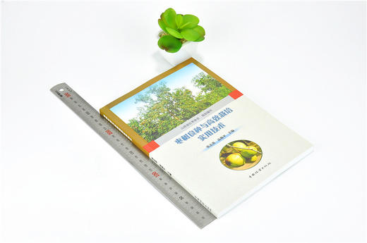 枣树良种与高效栽培实用技术 9878 张志善 高海平 农业科技 中国林业出版社 商品图1