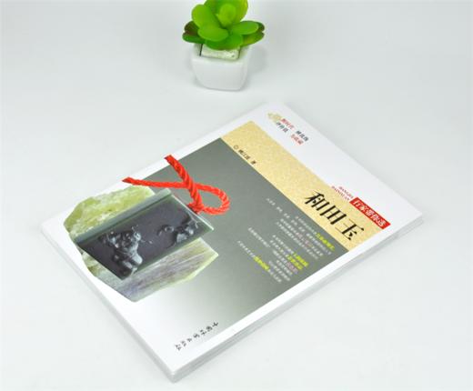 和田玉 行家带你选 9976 姚江波 著 断时代 辨真伪 评价值 为收藏 古物鉴赏书 中国林业出版社 商品图2