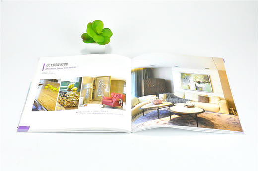 自由混搭 9857 亚太名家别墅室内设计典藏系列之六 效果图平面图 样板房 室内装饰装修空间设计案例书 中国林业出版社 商品图3
