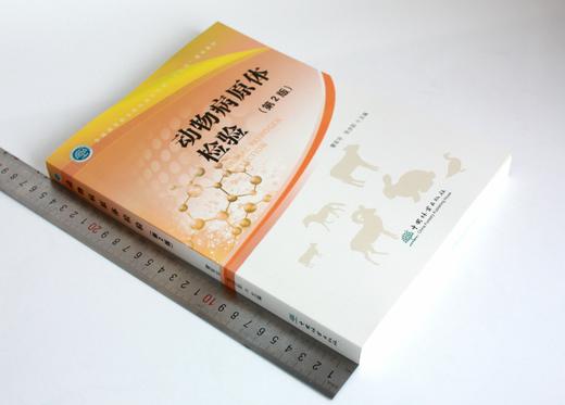 动物病原体检验 第2版 曹军平 张步彩 主编 0369 全国高等职业教育畜牧业类十三五规划教材 中国林业出版社 商品图1