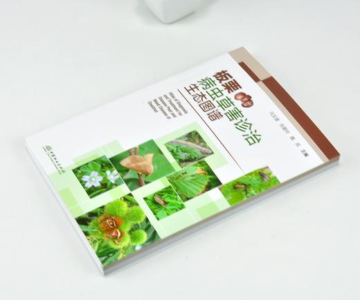 板栗病虫草害诊治生态图谱 0223 冯玉增 张爱玲 魏岚 板栗病害虫害诊断与防治 果园主要杂草识别与防治 工具书 中国林业出版社 商品图2
