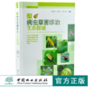 梨病虫草害诊治生态图谱 0238 冯玉增 陈宏义 徐玉杰 梨病害虫害诊断与防治 果园主要杂草识别与防治 果园工具书 中国林业出版社 商品缩略图0