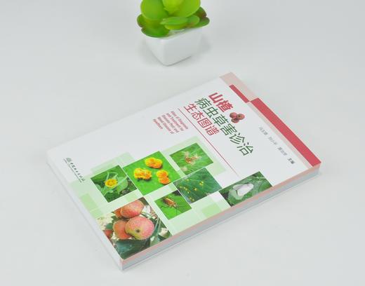 山楂病虫草害诊治生态图谱 0225 冯玉增 刘小平 黄治学 山楂病害虫害诊断与防治 果园主要杂草识别与防治 工具书 中国林业出版社 商品图2