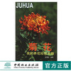 菊花-我的养花经验采撷 3040 朱秀珍 形态与分类 繁殖 栽培管理 病虫害防治 菊艺造型 花期控制 菊花与文化 中国林业出版社 畅销书 商品缩略图0