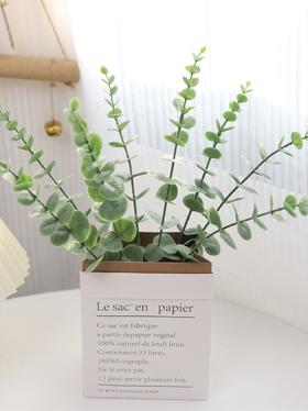 1支 仿真 尤加利 装饰插件 森系 拍照背景装饰摆件