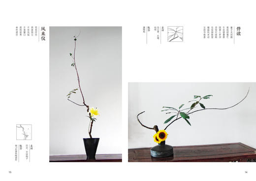 花艺禅说 倪志翔 8613 中式日式花道瓶花养花花艺花色书 花艺入门基础学 专*艺术插花妆花花艺礼盒 中国林业出版社 畅销书 商品图2