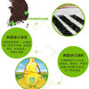 韩味多经典岩烧海苔脆2g*8包*4袋装不含添加剂 商品缩略图7