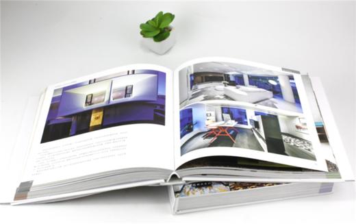 别墅室内设计典藏 上下册 9909 中式风韵都市简约原木生活欧美格调异域风情自由混搭 室内装饰装修设计书案例赏析 中国林业出版社 商品图4