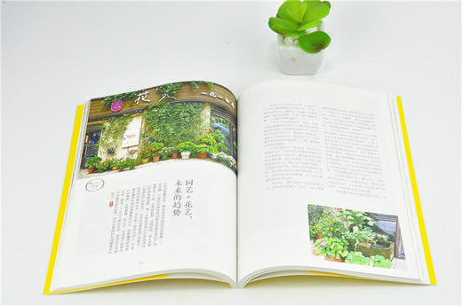 花店战略 30家明星花店的成功商业案例 0125 花哥编花店人应该知道的那些事儿开花店需要学习教程花店经营指南中国林业出版社书籍 商品图3