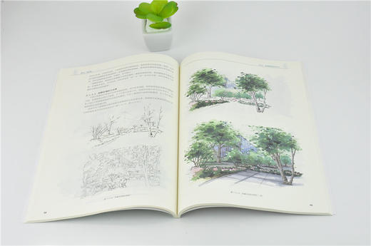 园林手绘表现技法   任全伟 9938 林业和草原局职业教育十三五规划教材 中国林业出版社 畅销书 商品图3