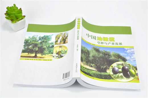 中国油橄榄引种与产业发展 9690 李聚桢 中国林业出版社 畅销书 商品图4