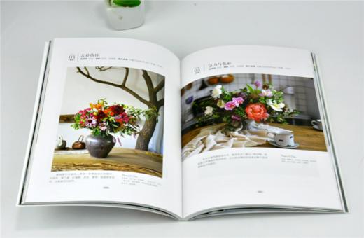 有一种格调叫居家有花0140花视觉系列花艺目客居家花艺案例玄关茶几休闲空间直立式瓶自然风格日式苔玉插花混搭自然中国林业出版社 商品图3