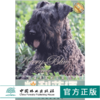 凯利蓝㹴 爱犬系列丛书 4598 活泼率直的无畏小子 欣赏 喂养 美容 训练 健康与疾病预防 宠物杂事 中国林业出版社 畅销书 商品缩略图0