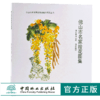 佛山市名家绘花图集 9670 佛山市建设国*森林城市系列丛书 中国林业出版社 正版畅销书 商品缩略图0