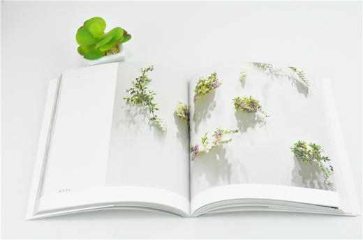 有花的日子 超人气日式花艺设计课 0008 陈暖 花园时光 伴暖文化 剪红载绿花艺设计别样捧花四季花配基本技法中国林业出版社畅销书 商品图3