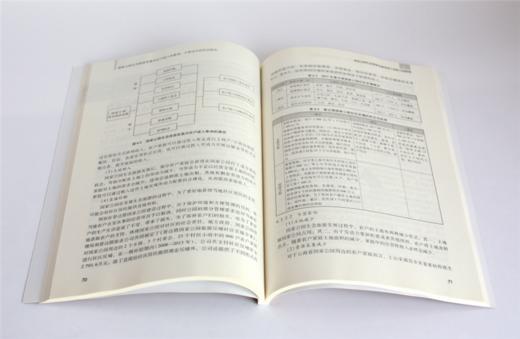 国家公园生态旅游发展对农户收入的影响 云南试点的实证研究 0419 邱守明著 绿色经济与绿色发展经典系列丛书 中国林业出版社 商品图3
