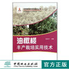 油橄榄丰产栽培实用技术 6217 张东升 科技服务林改实用技术丛书 育苗繁育技术扦插嫁接园地选择规划 整形修剪 病虫害防治中国林业 商品缩略图0
