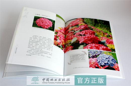 花朝花开花满堤 0189 徐利平 郭柏峰主编 乔灌类花卉 草本类花卉 藤本类花卉 水生类花卉 观叶类植物 景观植物配置 中国林业出版社 商品图3