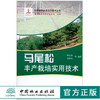马尾松丰产栽培实用技术 6002 科技服务林改实用技术丛书 中国林业出版社 商品缩略图0