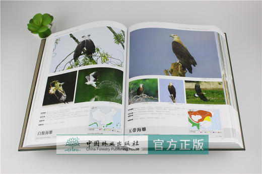 中国鸟类图志 8363 下卷 雀形目 中国鸟类识别 中国林业出版社官方自营店正版畅销书 商品图3