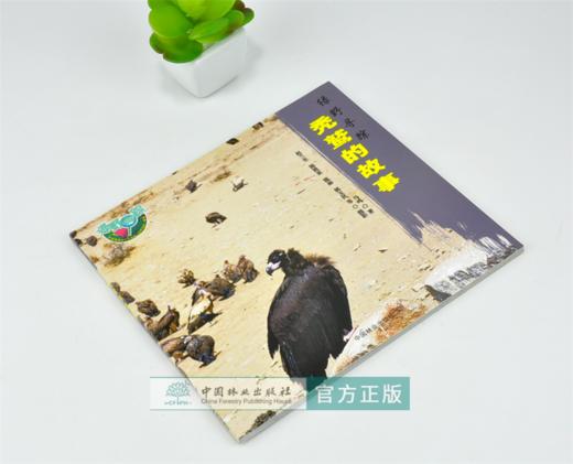 秃鹫的故事 绿野仙踪 0261 马鸣 著 鹫的起源 特点 行为 繁衍后代 迁徒 保护 少儿科普读物 中国林业出版社 畅销书 商品图1
