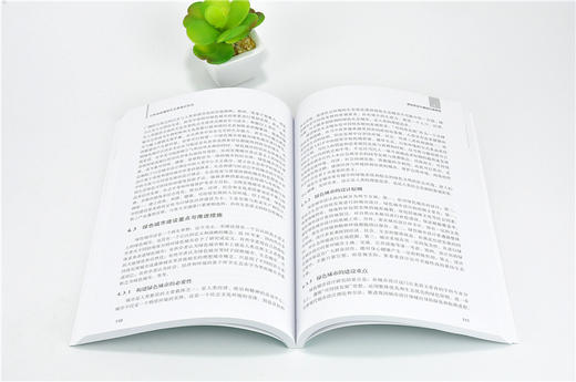 云南省城镇绿色发展模式研究 9919 绿色经济与绿色发展经典系列丛书 中国林业出版社 正版畅销书 商品图3