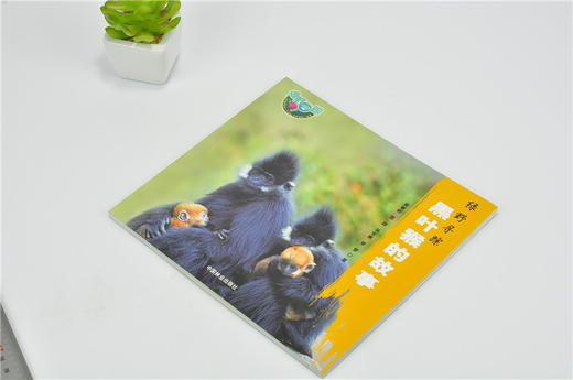 绿野寻踪 黑叶猴的故事 9785 辨识黑叶猴 食住行 种群 保护野生动物 中国林业出版社 畅销书 商品图2